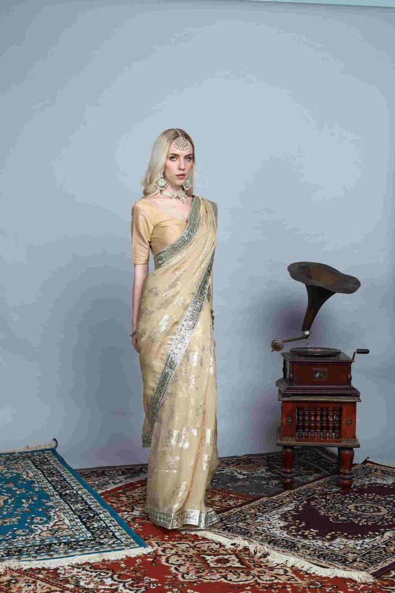 Seravine Tissue Embroidered Saree Alternate